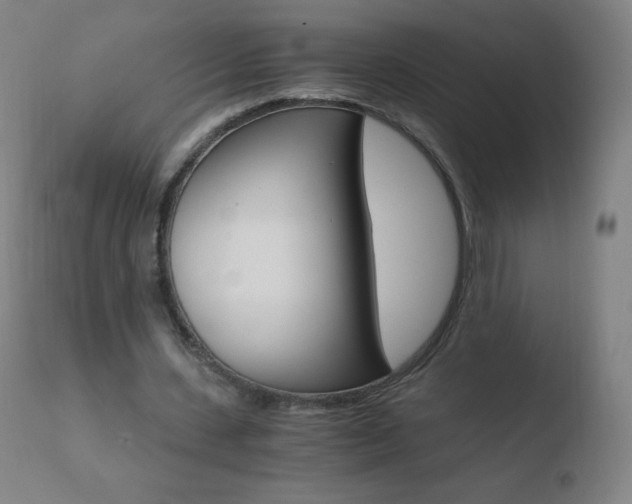 X0000110670531200906121103