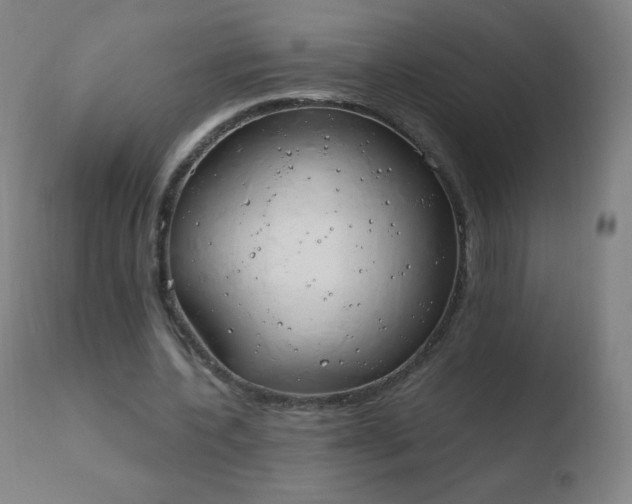 X0000110670532200906121103