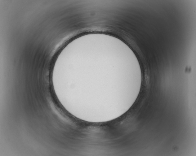 X0000110670534200906121103