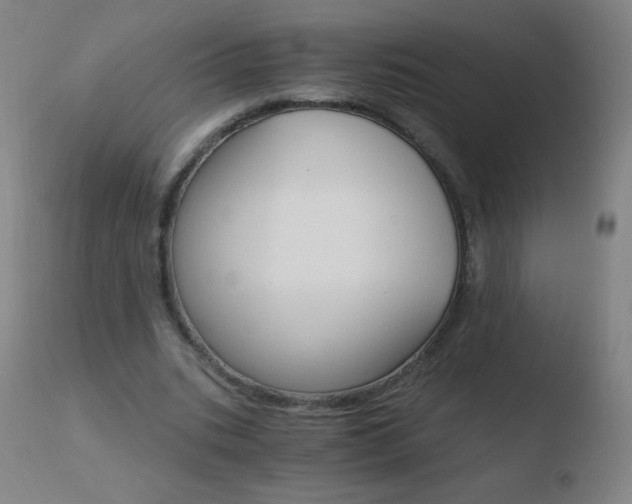 X0000110670535200906121103