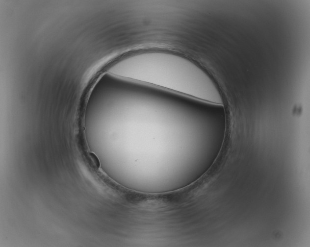 X0000110670536200906121103