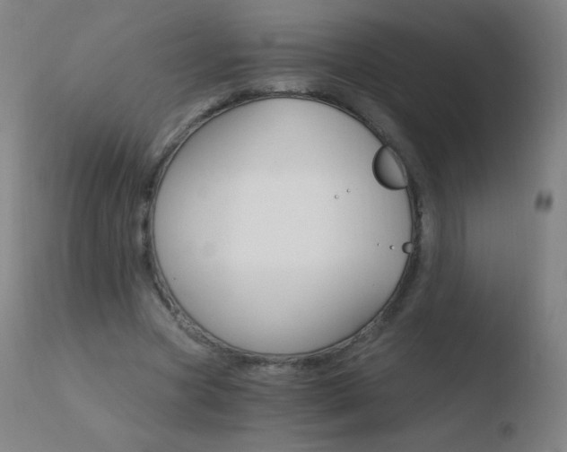 X0000110670537200906121103