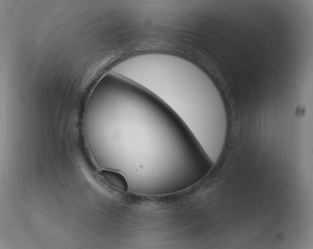 X0000110670538200906121104
