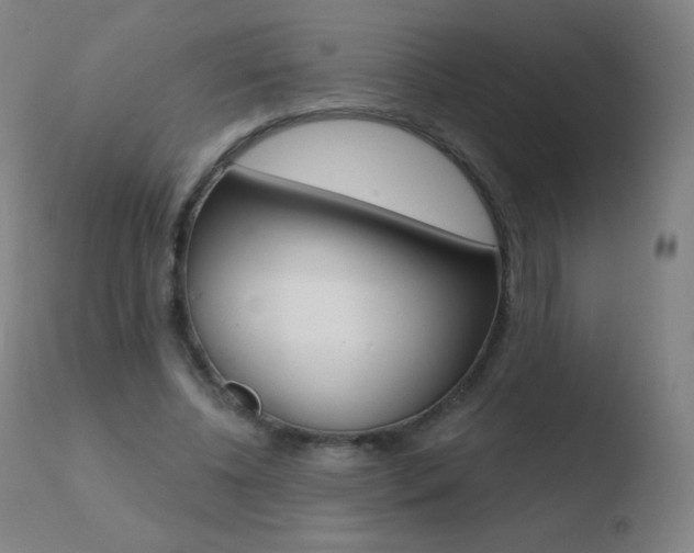 X0000110670540200906121104