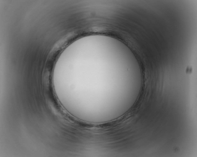 X0000110670542200906121104