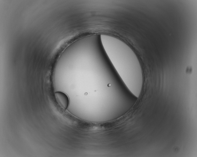 X0000110670543200906121104