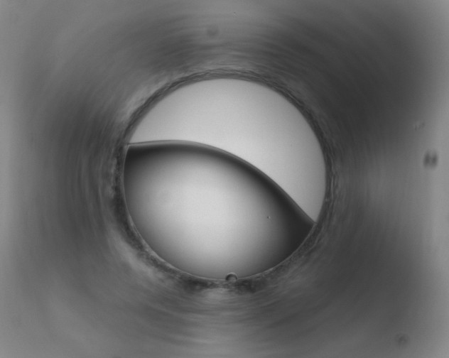 X0000110670544200906121104