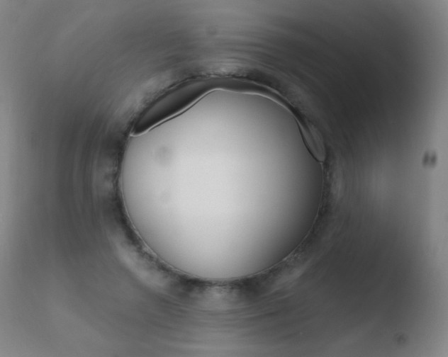 X0000110670546200906121104