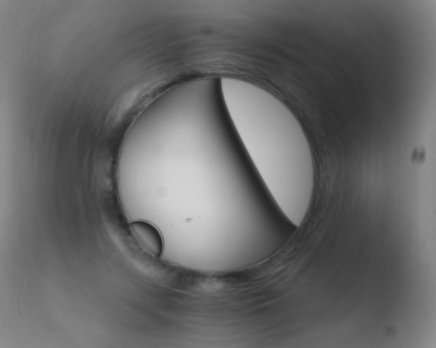 X0000110670547200906121104