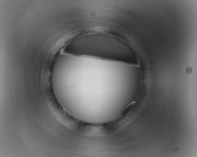 X0000110670548200906121104