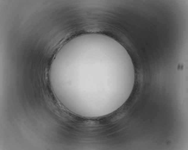 X0000110670549200906121104