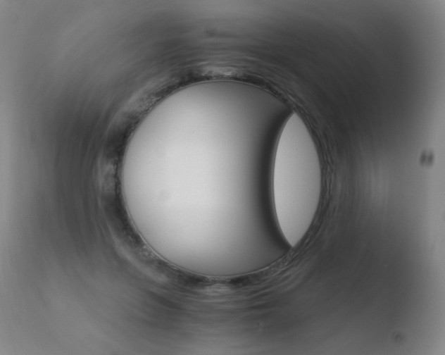 X0000110670551200906121104