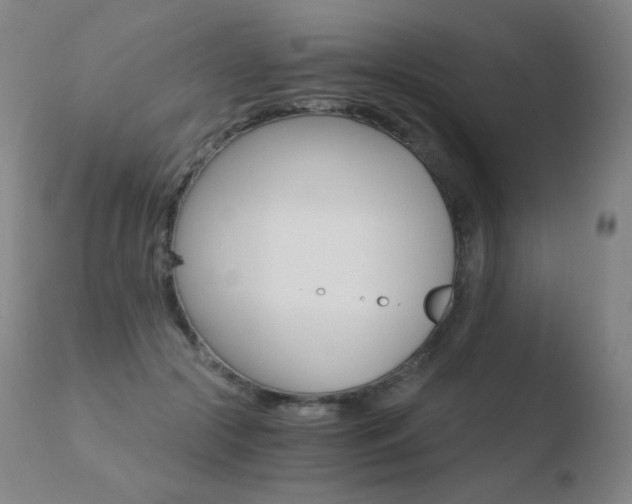 X0000110670553200906121104
