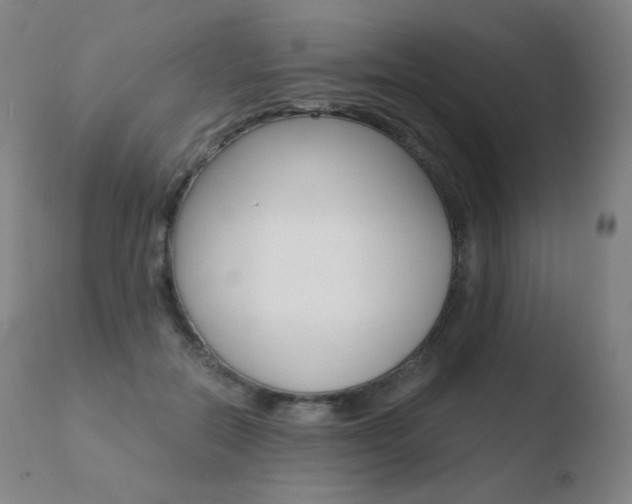 X0000110670554200906121104
