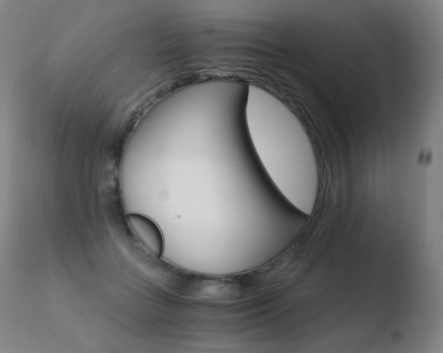 X0000110670555200906121104