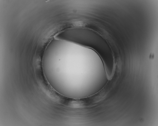 X0000110670556200906121104