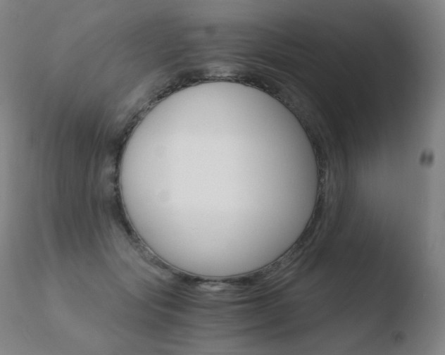 X0000110670557200906121104