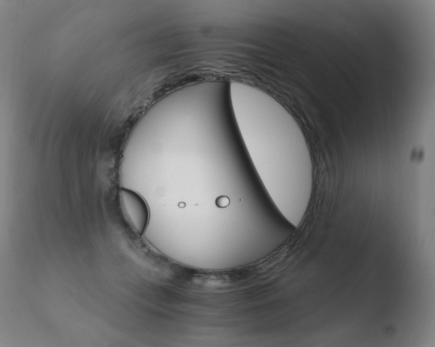X0000110670559200906121104
