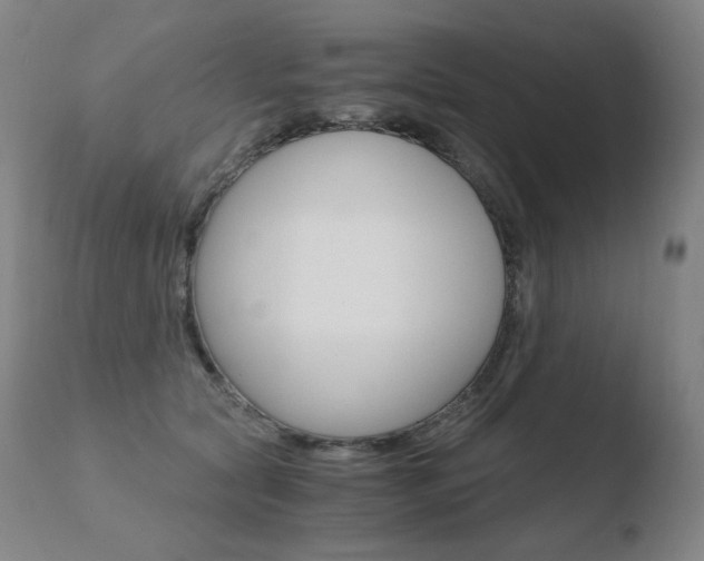 X0000110670561200906121104