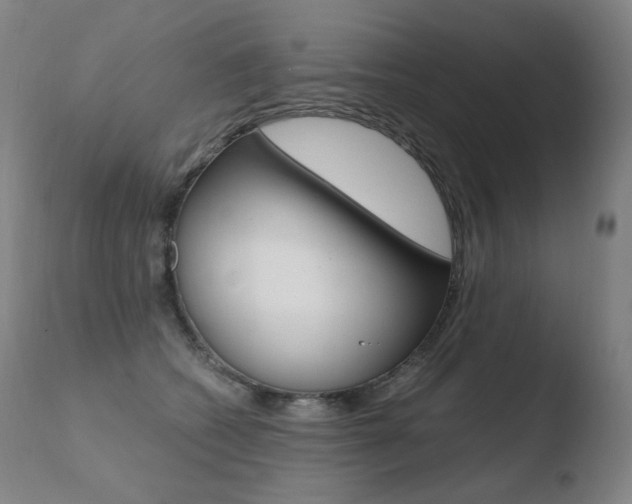 X0000110670562200906121104