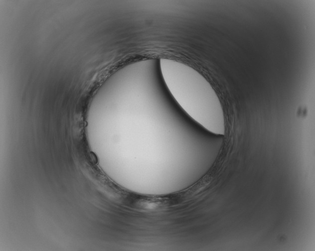 X0000110670563200906121104