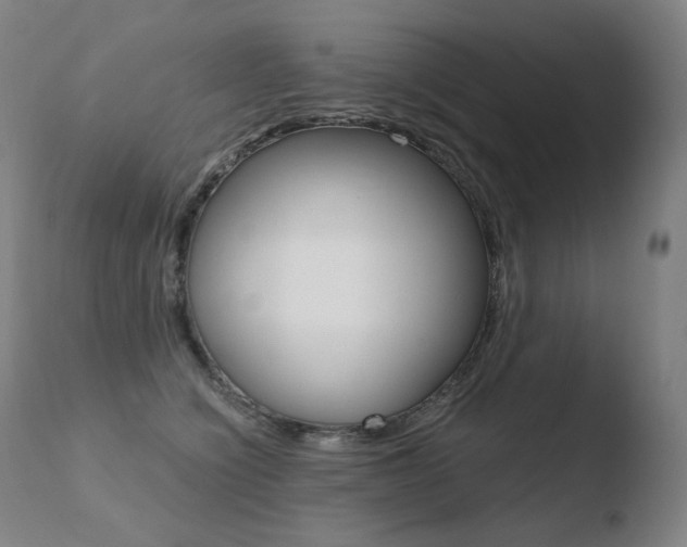 X0000110670564200906121104