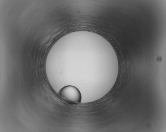X0000110670566200906121104
