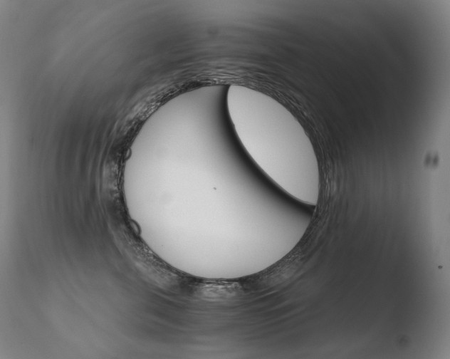X0000110670571200906121104