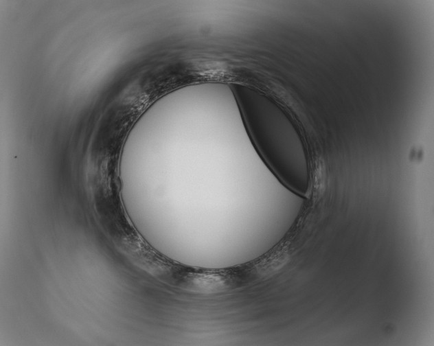 X0000110670572200906121104