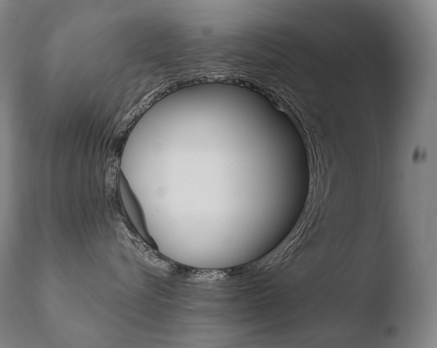 X0000110670576200906121104