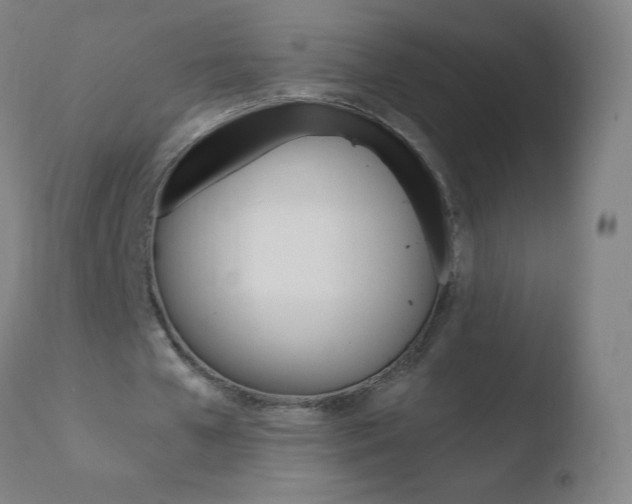 X0000110670577200906121103