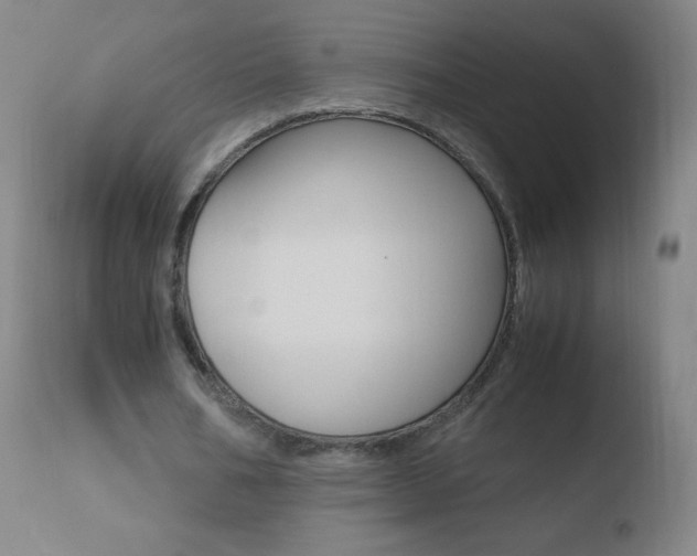 X0000110670578200906121103