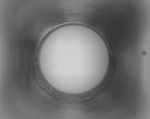 X0000110670579200906121103