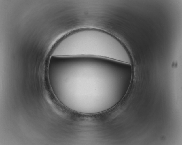 X0000110670580200906121103
