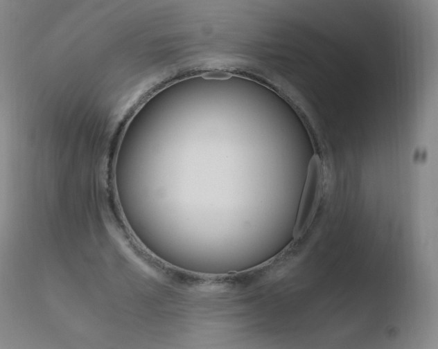 X0000110670581200906121103