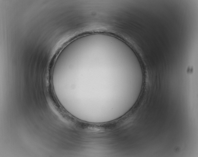 X0000110670582200906121103