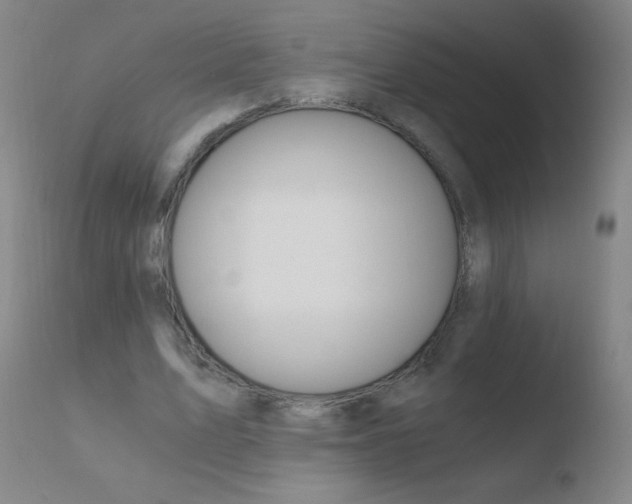 X0000110670583200906121103