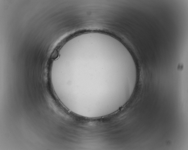 X0000110670584200906121103