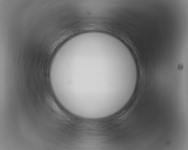X0000110670585200906121103