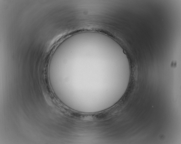 X0000110670587200906121103