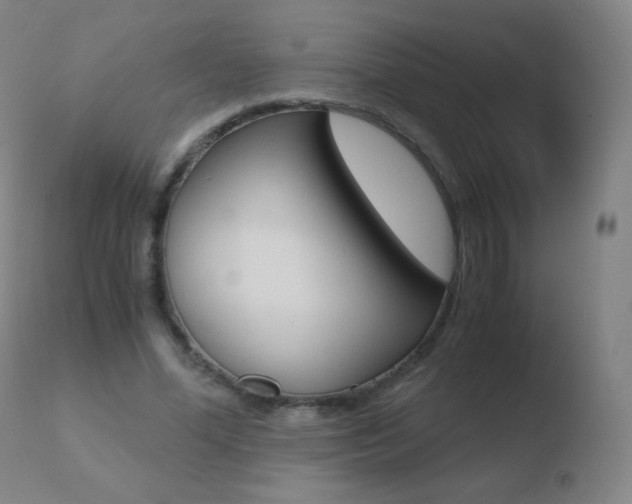 X0000110670588200906121103
