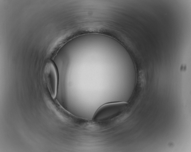 X0000110670589200906121103