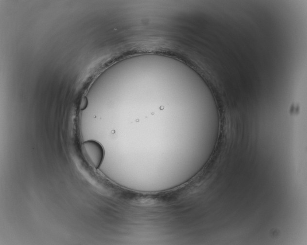 X0000110670590200906121103