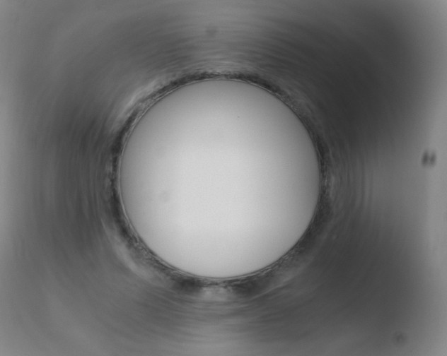 X0000110670591200906121103
