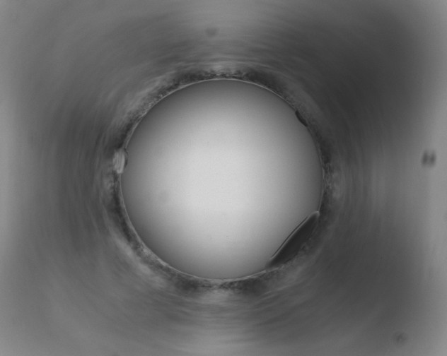 X0000110670593200906121103