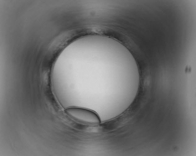 X0000110670595200906121103