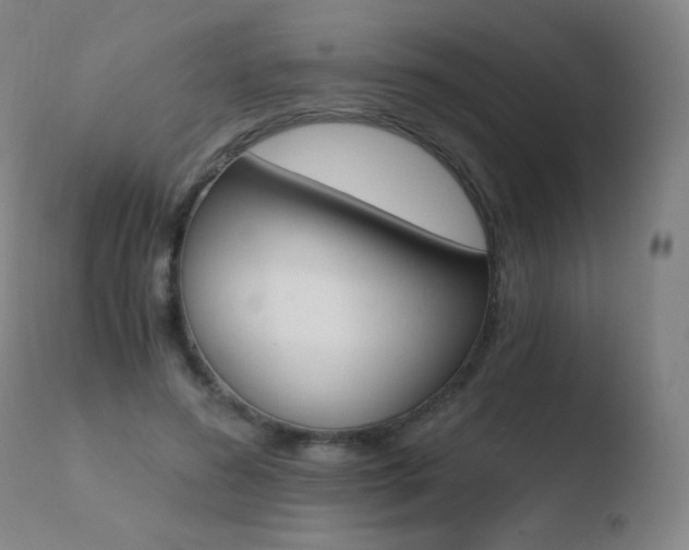 X0000110670596200906121103