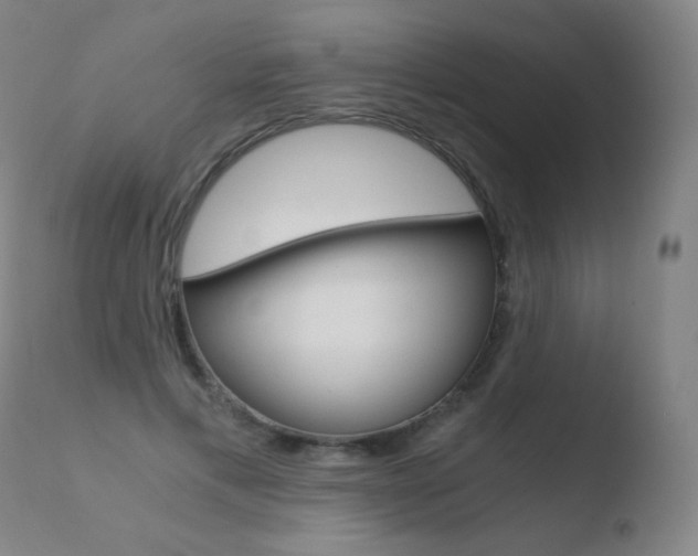 X0000110670597200906121103