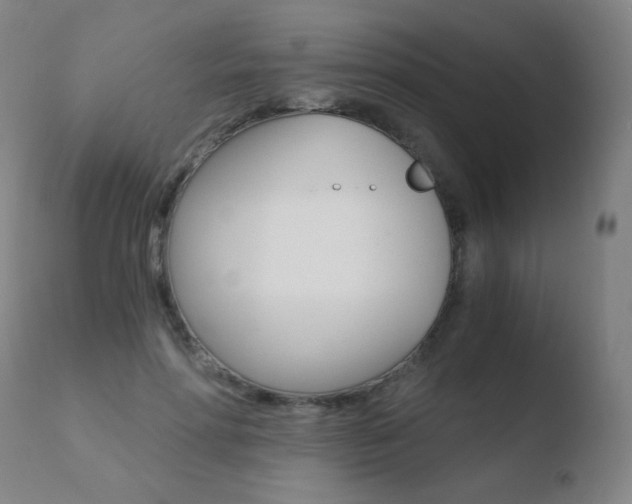 X0000110670598200906121103