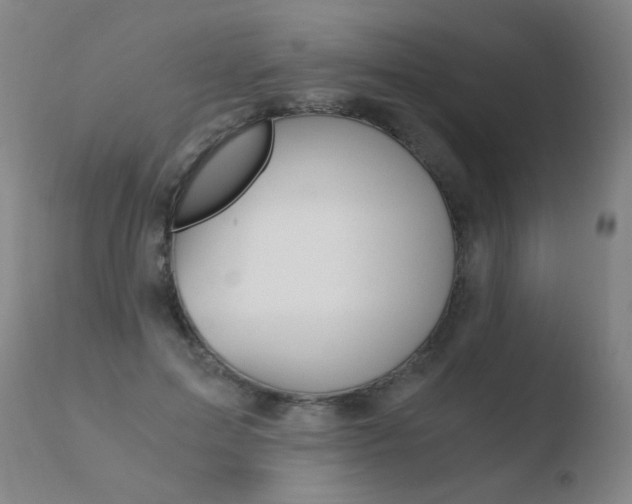 X0000110670599200906121103